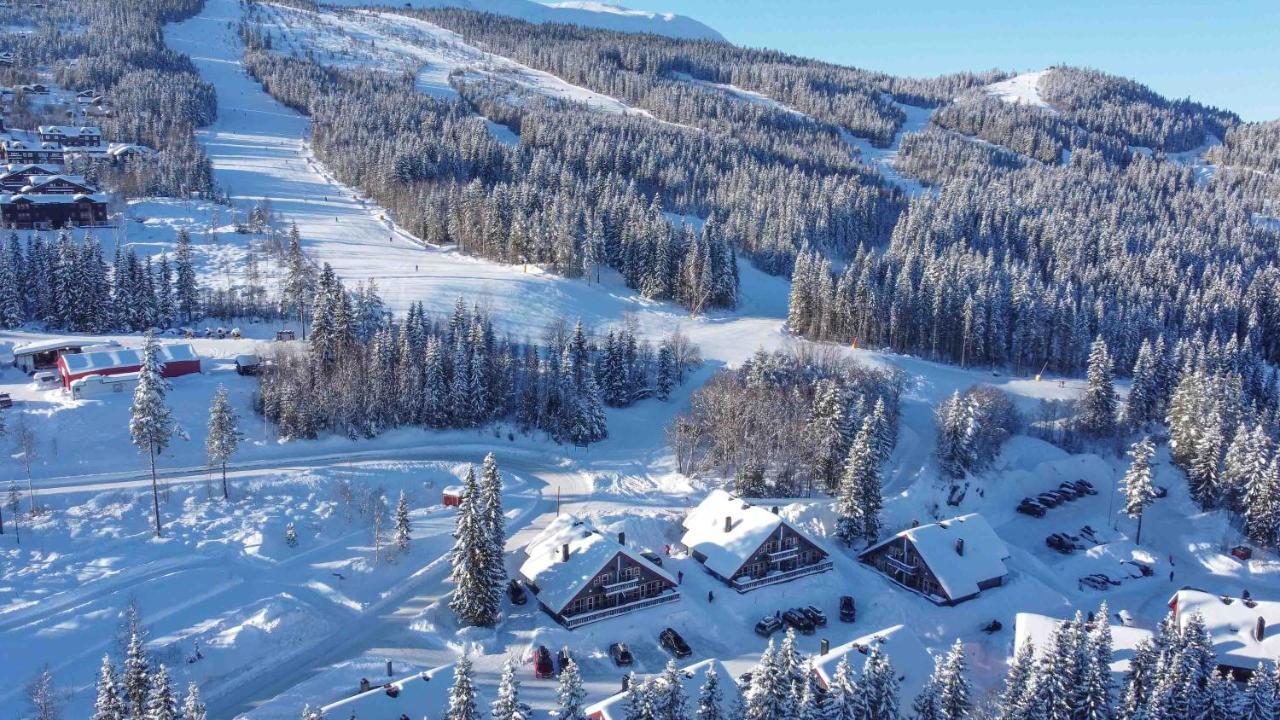 Вилла Bakkebyvegen 20A Трисиль Экстерьер фото