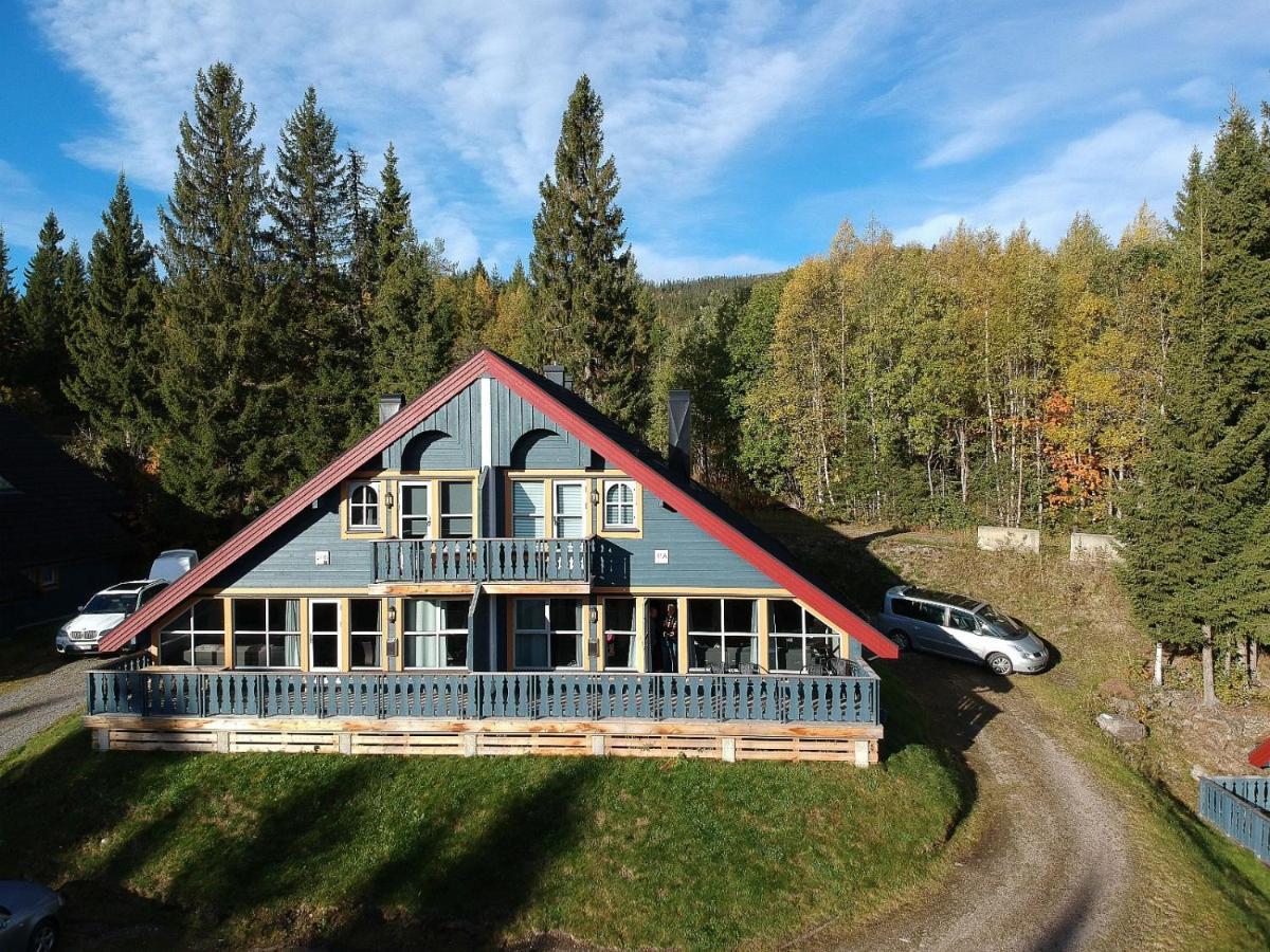 Вилла Bakkebyvegen 20A Трисиль Экстерьер фото